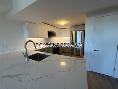 Allston 2 bedroom 2.5 baths in BOSTON Boston - $3,850 No Fee