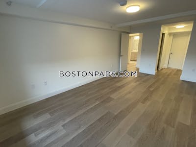 Allston 2 bedroom 2.5 baths in BOSTON Boston - $3,850 No Fee