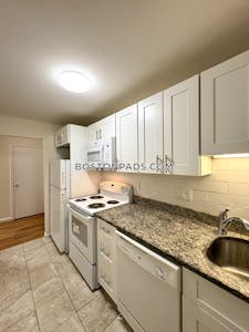 Allston/brighton Border Apartment for rent 1 Bedroom 1 Bath Boston - $2,800 No Fee