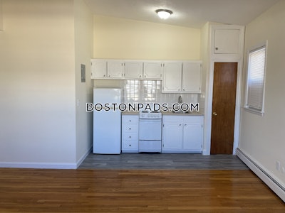 Brighton Apartment for rent 1 Bedroom 1 Bath Boston - $2,500 No Fee