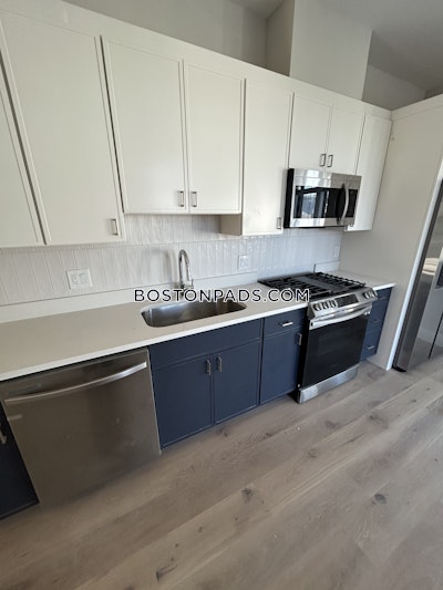 Allston Apartment for rent 2 Bedrooms 2 Baths Boston - $4,225