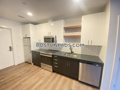 Allston Apartment for rent 2 Bedrooms 2 Baths Boston - $5,095 No Fee